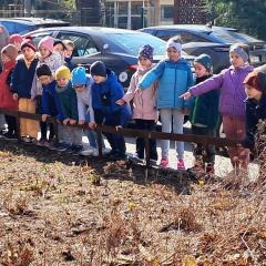 szukamy oznak wiosny