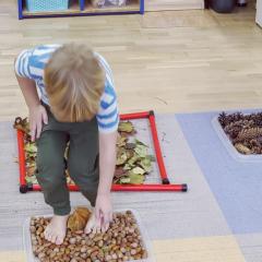 Idziemy leśną dróżką bez butów