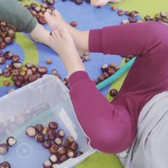   Wrzucamy stopami kasztany do pudełka