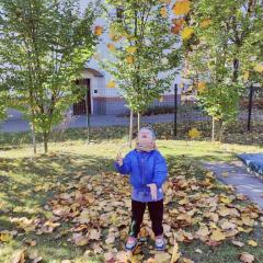 Chłopiec bawi się liśćmi