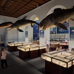 Muzeum Ewolucji
