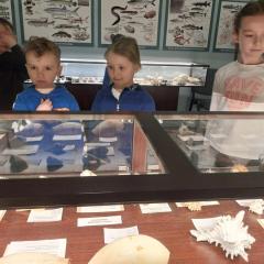 Oglądanie ekspozycji