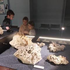 Oglądanie skamieniałości