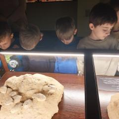 Oglądanie eksponatów