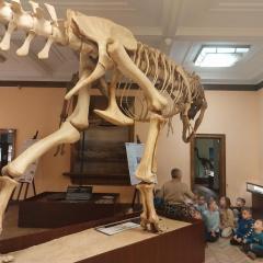 Słuchanie wiadomości o życiu dinozaurów