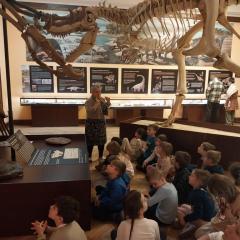 Poznawanie życia miliony lat temu