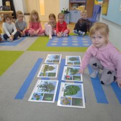 Rozpoznajemy drzewa, ich liście i owoce