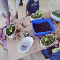 Mama chłopca z naszej grupy przygotowała dla nas piękne rośliny do świątecznych stroików