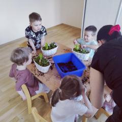 Sadzimy piękne wiosenne kwiaty