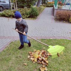 Jesienne porządki - chłopiec grabi liście