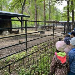 Podziwiamy zwierzęta w mini zoo