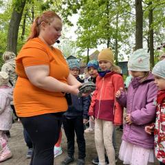 Żabki i spotkanie z żółwiem wodnym