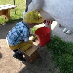 Chłopiec z pomocą farmerki próbuje swoich sił w dojeniu, za pomocą edukacyjnego modelu krowy
