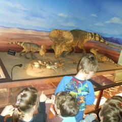 Dzieci oglądają jaja oraz młode dinozaury
