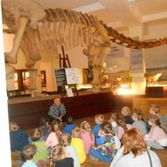 Dzieci poznają pracę paleontologa