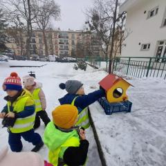 karmimy ptaki