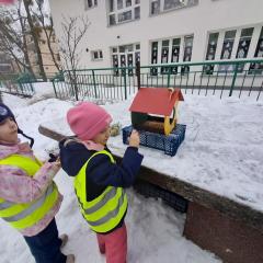 karmimy ptaki