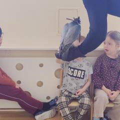   Bliski kontakt z sokołem